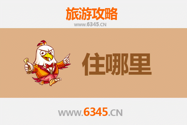 南投中寮秘境民宿攻略 | 山林疗愈与在地体验之旅